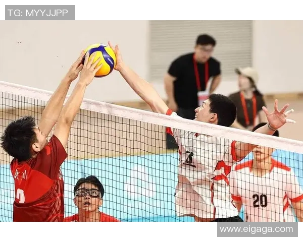 深圳排球队的崛起与发展:聚焦力量与团队精神的完美结合 深圳排球队的崛起与发展:聚焦力量与团队精神的完美结合