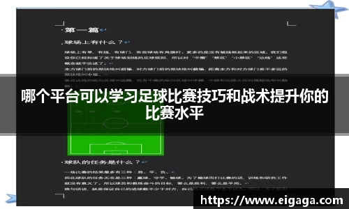 39153.k1体育十年品牌