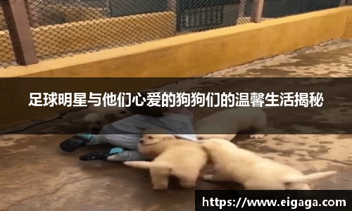 足球明星与他们心爱的狗狗们的温馨生活揭秘